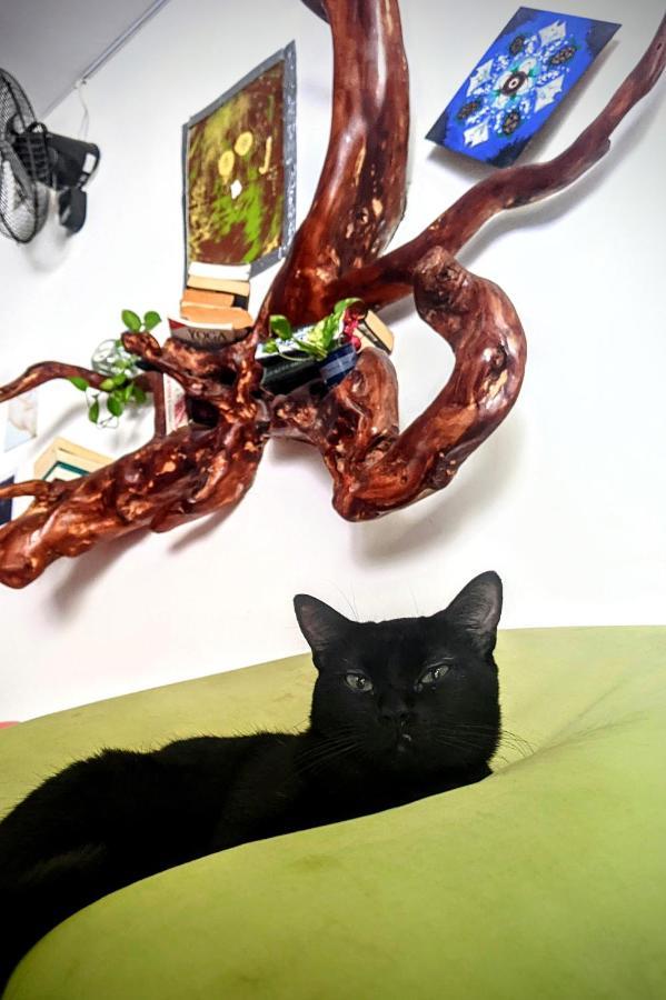 The Green Village Boutique Hotel プレヤデルカーメン エクステリア 写真