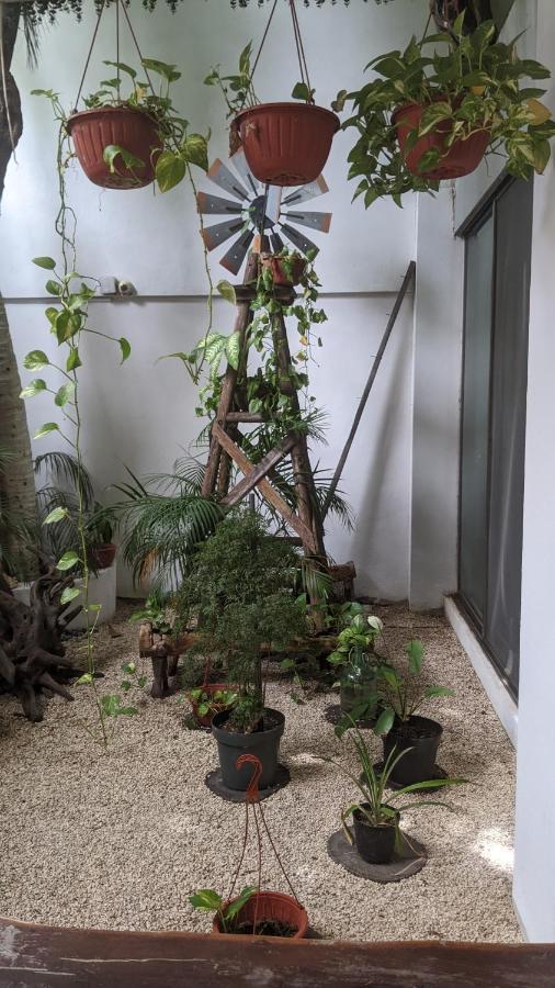 The Green Village Boutique Hotel プレヤデルカーメン エクステリア 写真